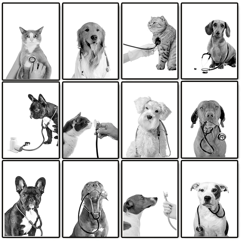 Stethoscope - Poster Veterinario con Cani e Gatti