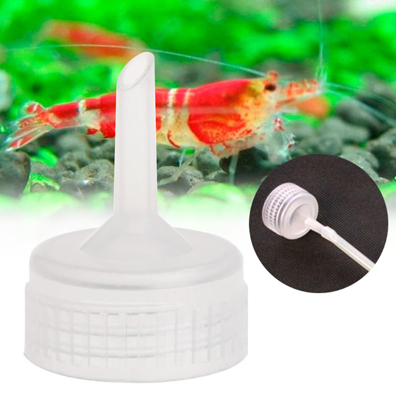 10 Pz Acquario Salamoia Gamber - Lab Incubator recensione e prezzo